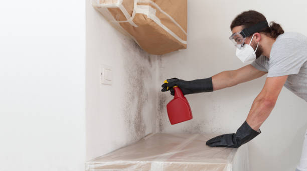 Professional Mold Removal technician working in Mahaffey, PA