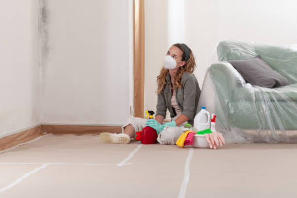 Reliable Mold Removal contractor in Mahaffey, PA by WQB Mold Removal